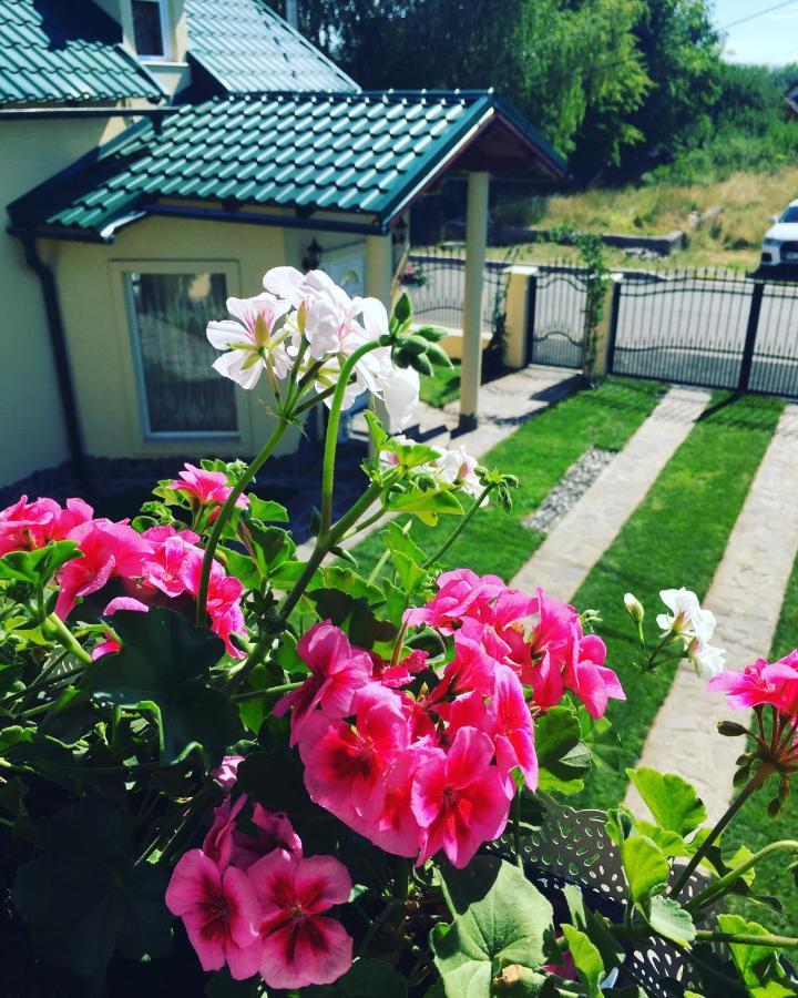 Casa Moldovan ออคนาชูกาแต็ก ภายนอก รูปภาพ