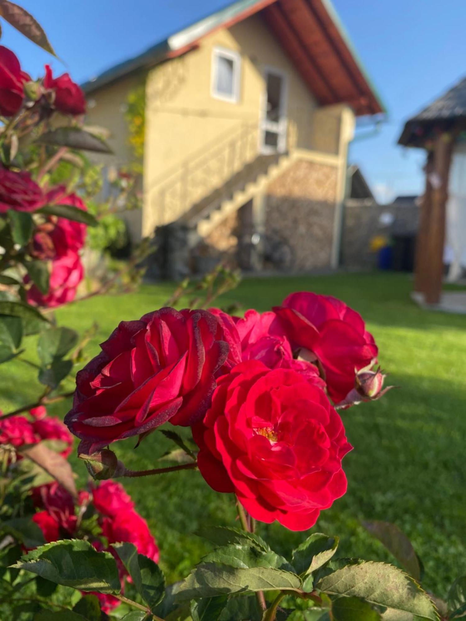 Casa Moldovan ออคนาชูกาแต็ก ภายนอก รูปภาพ
